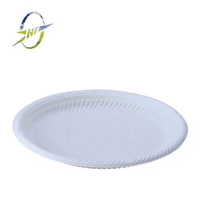 Biodegradable plates 9 inch