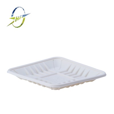 Biodegradable food packaging tray for sale